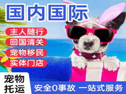 天津滨海航空快递国际宠物托运 【国